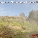 Wolkengrenze Nationalpark Teneriffa