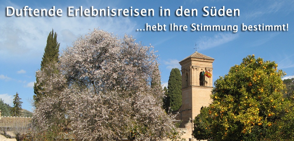 Malaga ab Memmingen buchen Malaga ab Memmingen buchen